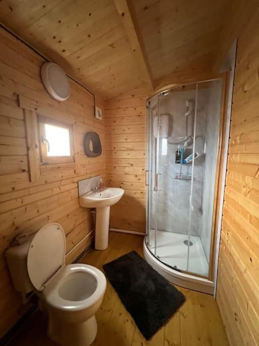 The Log * Willingham (Cambridgeshire)